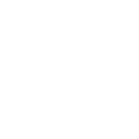 dot icon
